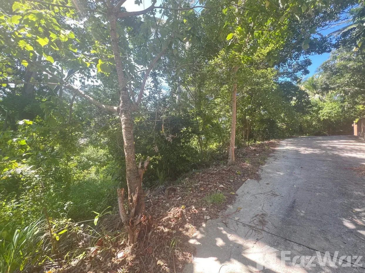 picture Land for sale in Bo Phut, Surat Thani - 5/12