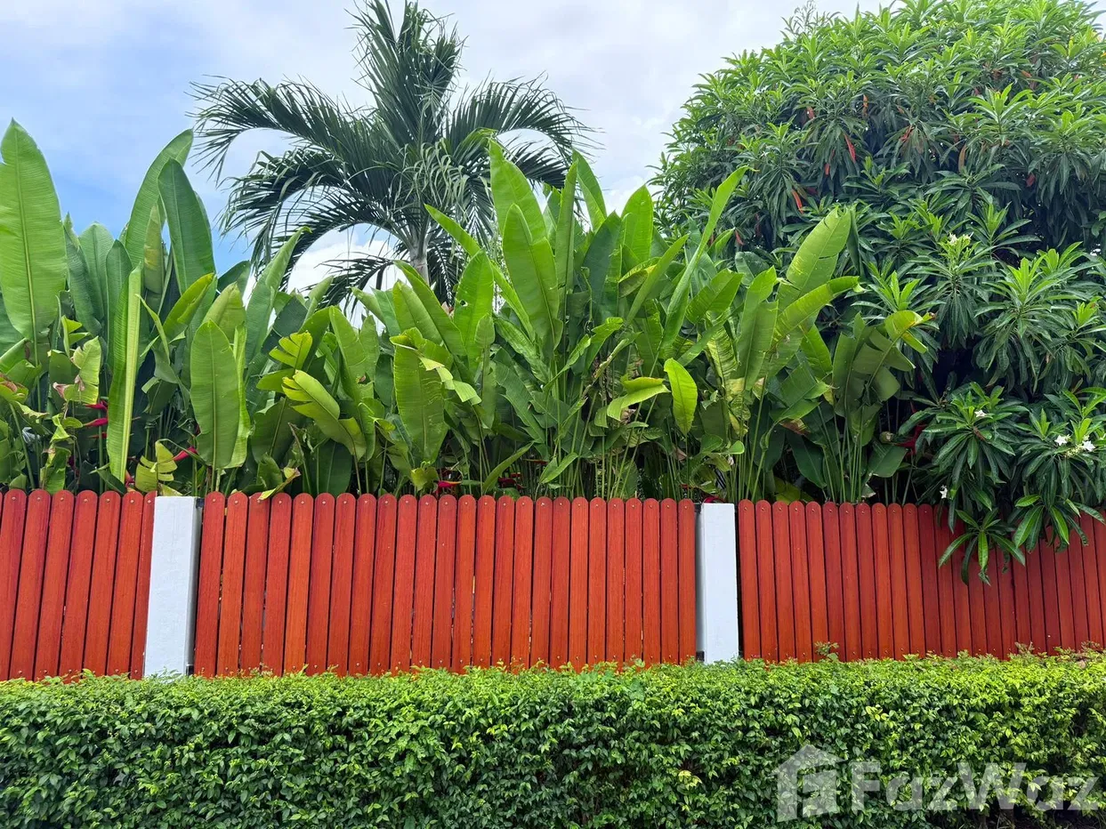 picture Your Little Paradise Awaits – Affordable Luxury in Paklok 🌴 - 6/28