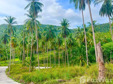 Land for sale in Taling Ngam, Surat Thani