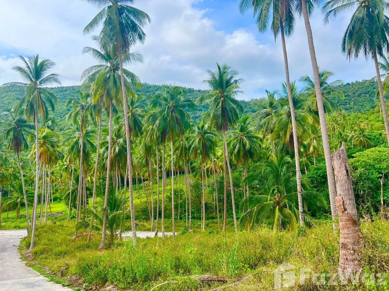 picture Land for sale in Taling Ngam, Surat Thani - 1/18