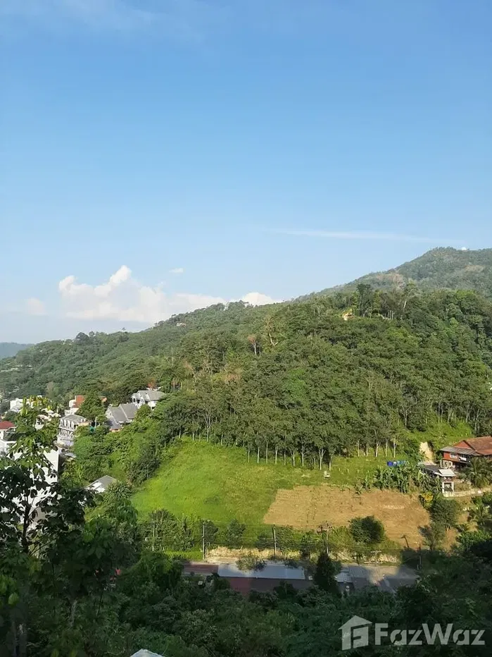 picture 3 Bedroom Villa for sale in Patong, Phuket - 26/33