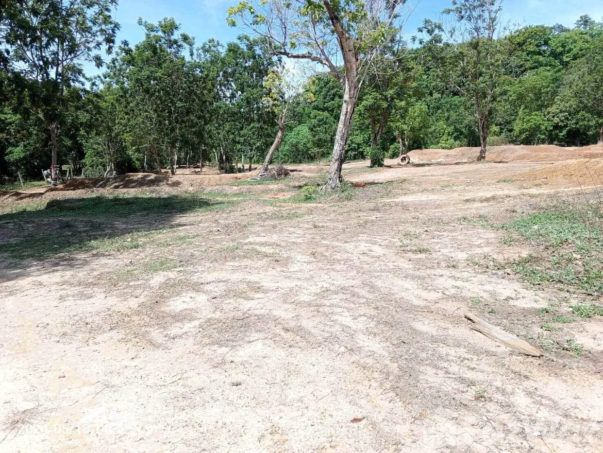 picture Land for sale in Ratsada, Phuket - 3/8