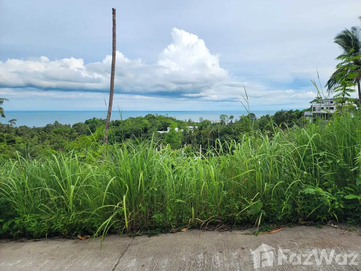 รูป ขาย ที่ดิน ใน มะเร็ต, สุราษฎร์ธานี - รูปที่ 8/9