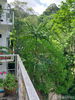 listing thumbnail image 14