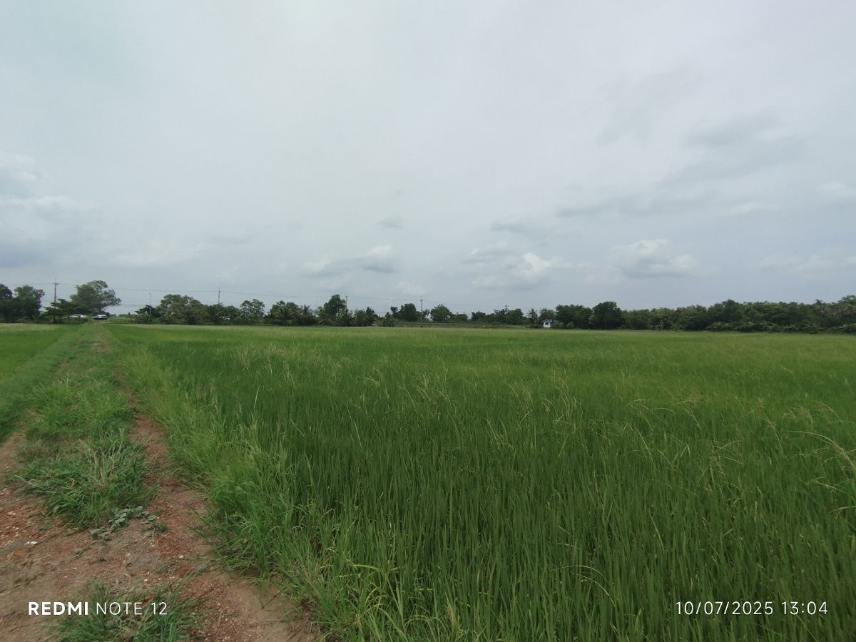 picture 🌊Premium riverside land in BangPakong, 30+rai, ONLY1plot, BangKhla, next to the main road+river, beautiful view, potential for various developments - 11/14