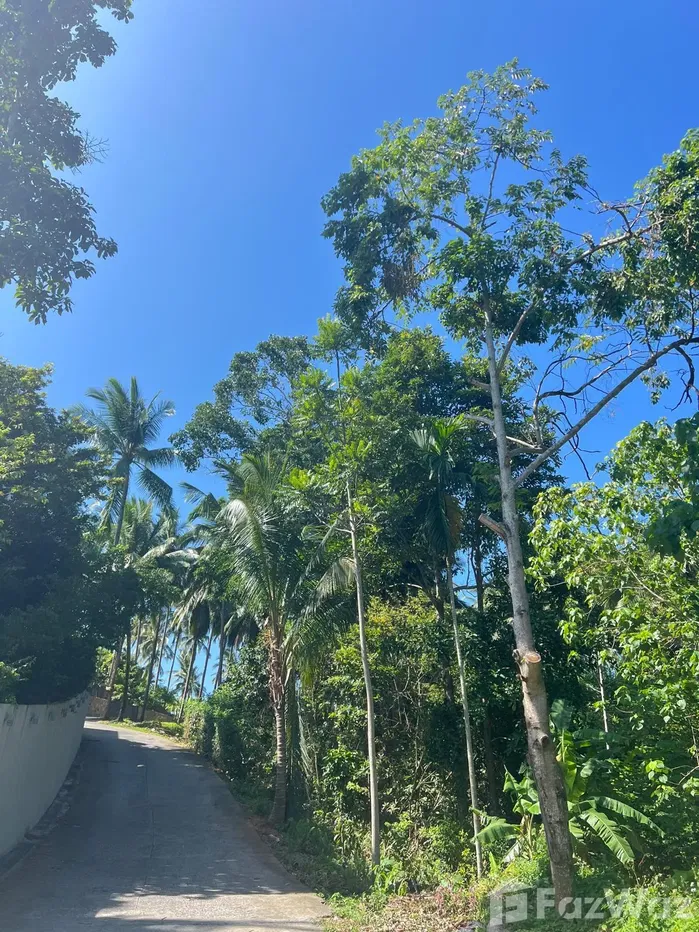 picture Land for sale in Bo Phut, Surat Thani - 4/12