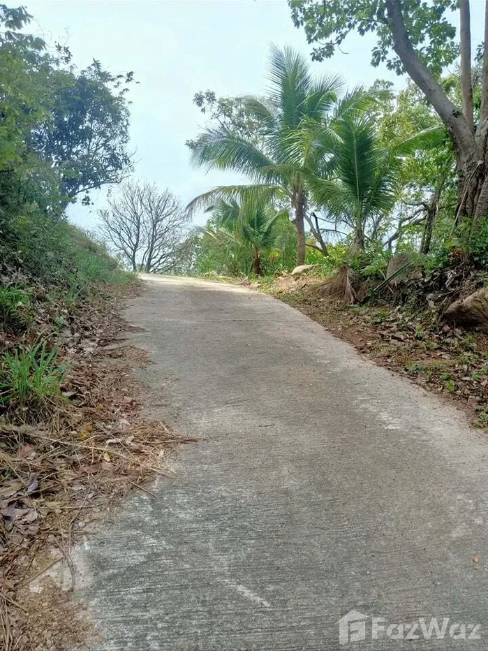 รูป ขาย ที่ดิน ใน บ่อผุด, สุราษฎร์ธานี - รูปที่ 4/7