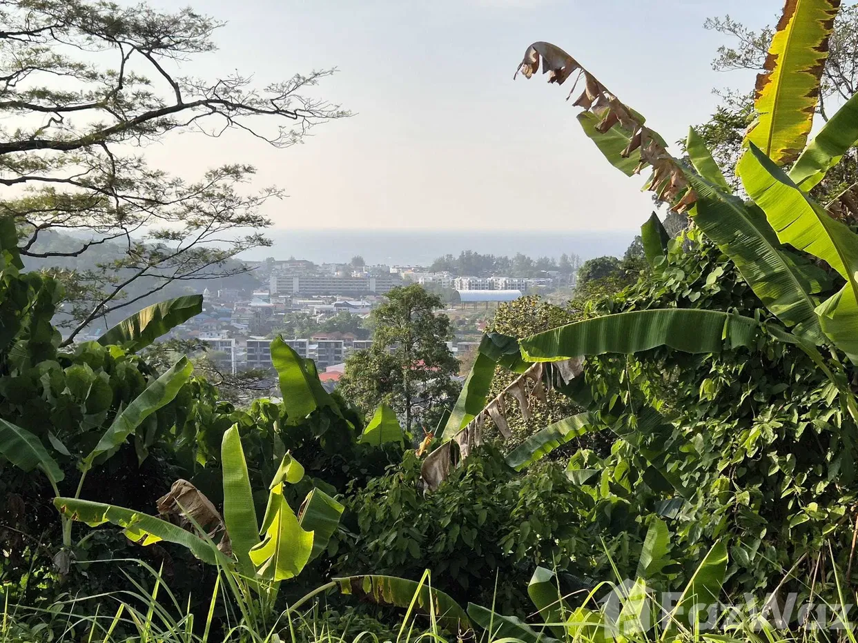 picture Land for sale in Kamala, Phuket - 9/17