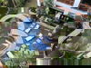 listing thumbnail image 23