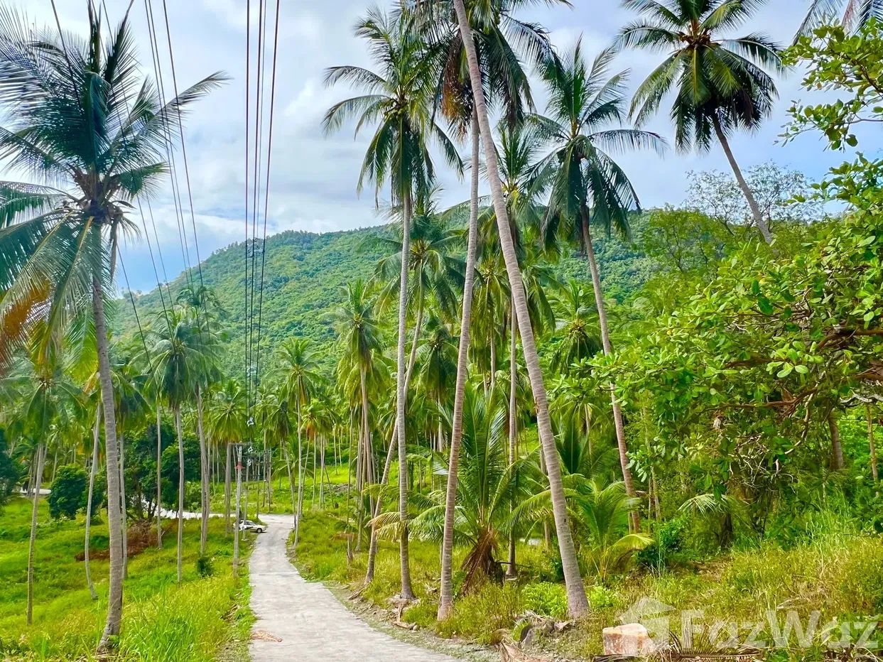 picture Land for sale in Taling Ngam, Surat Thani - 9/18