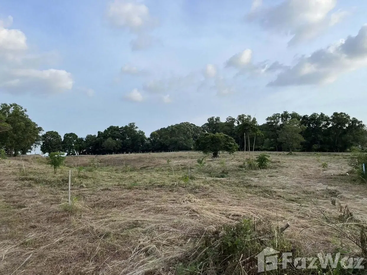 picture Land for sale in Rawai, Phuket - 8/8