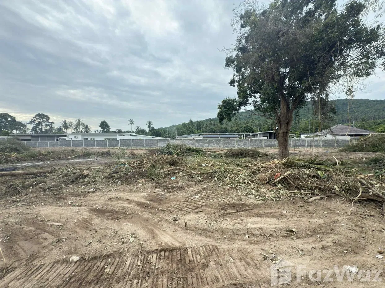 picture Land for sale in Maenam, Surat Thani - 14/16