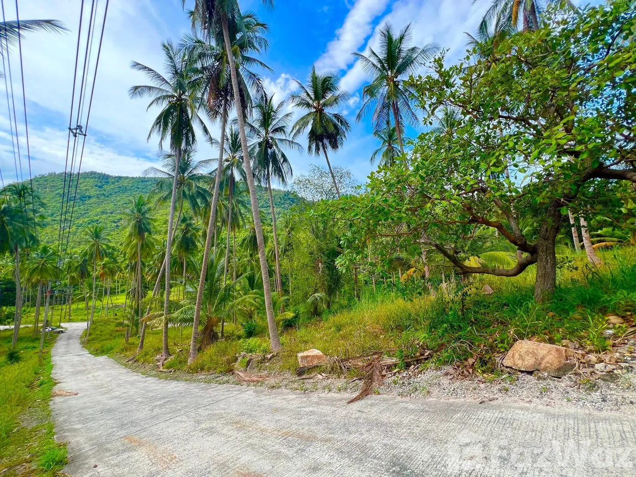 picture Land for sale in Taling Ngam, Surat Thani - 15/18