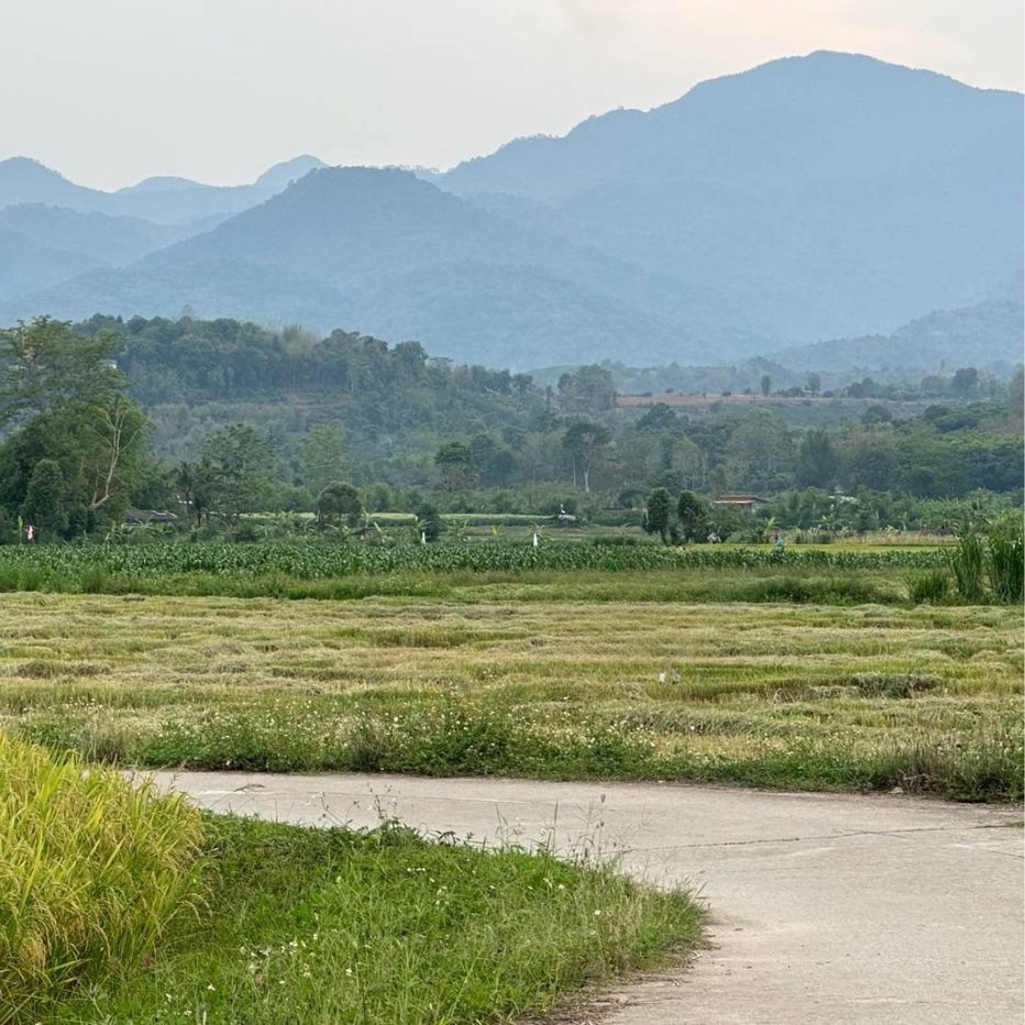 picture 🌿 Beautiful Mountain View Land for Sale in Fang, Chiang Mai 🍃 Perfect for a country home, vacation house, or a stylish café in nature 🌳 - 3/11