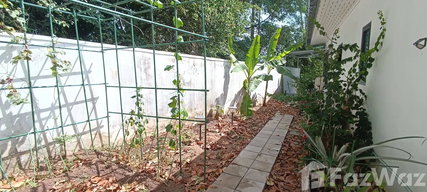 picture 4 Bedroom House for sale in Maenam, Surat Thani - 14/23