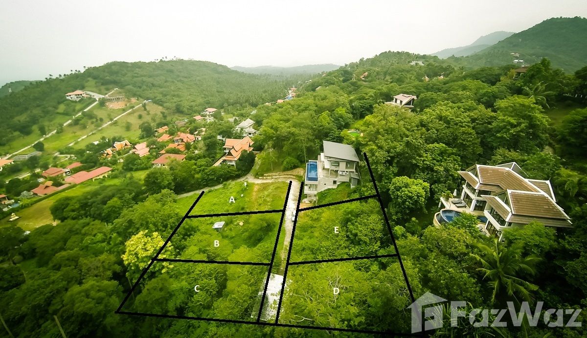 รูป ขาย ที่ดิน ใน แม่น้ำ, สุราษฎร์ธานี - รูปที่ 3/10