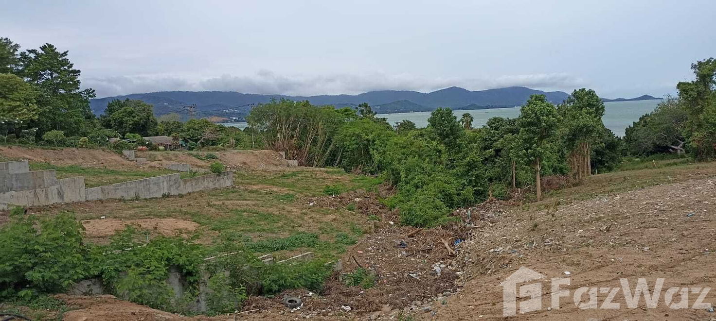 picture Land for sale in Bo Phut, Surat Thani - 6/11