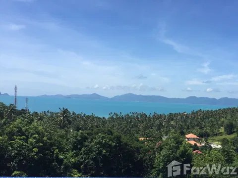 Land for sale in Maenam, Surat Thani