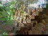 listing thumbnail image 53