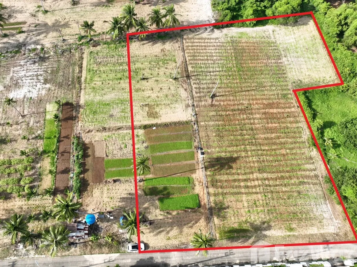 picture Land for sale in Mai Khao, Phuket - 5/16