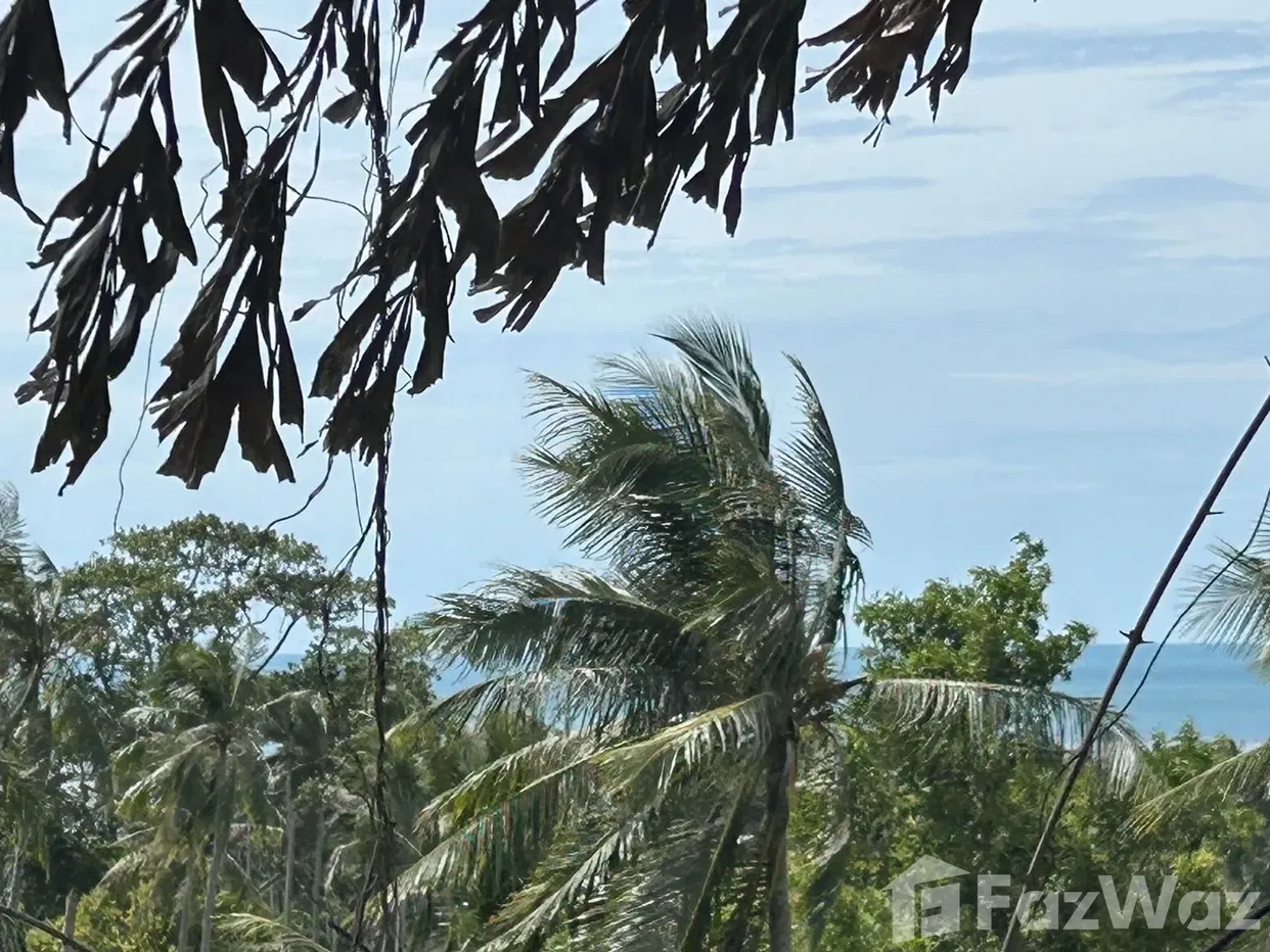 รูป ขาย ที่ดิน ใน มะเร็ต, สุราษฎร์ธานี - รูปที่ 4/6