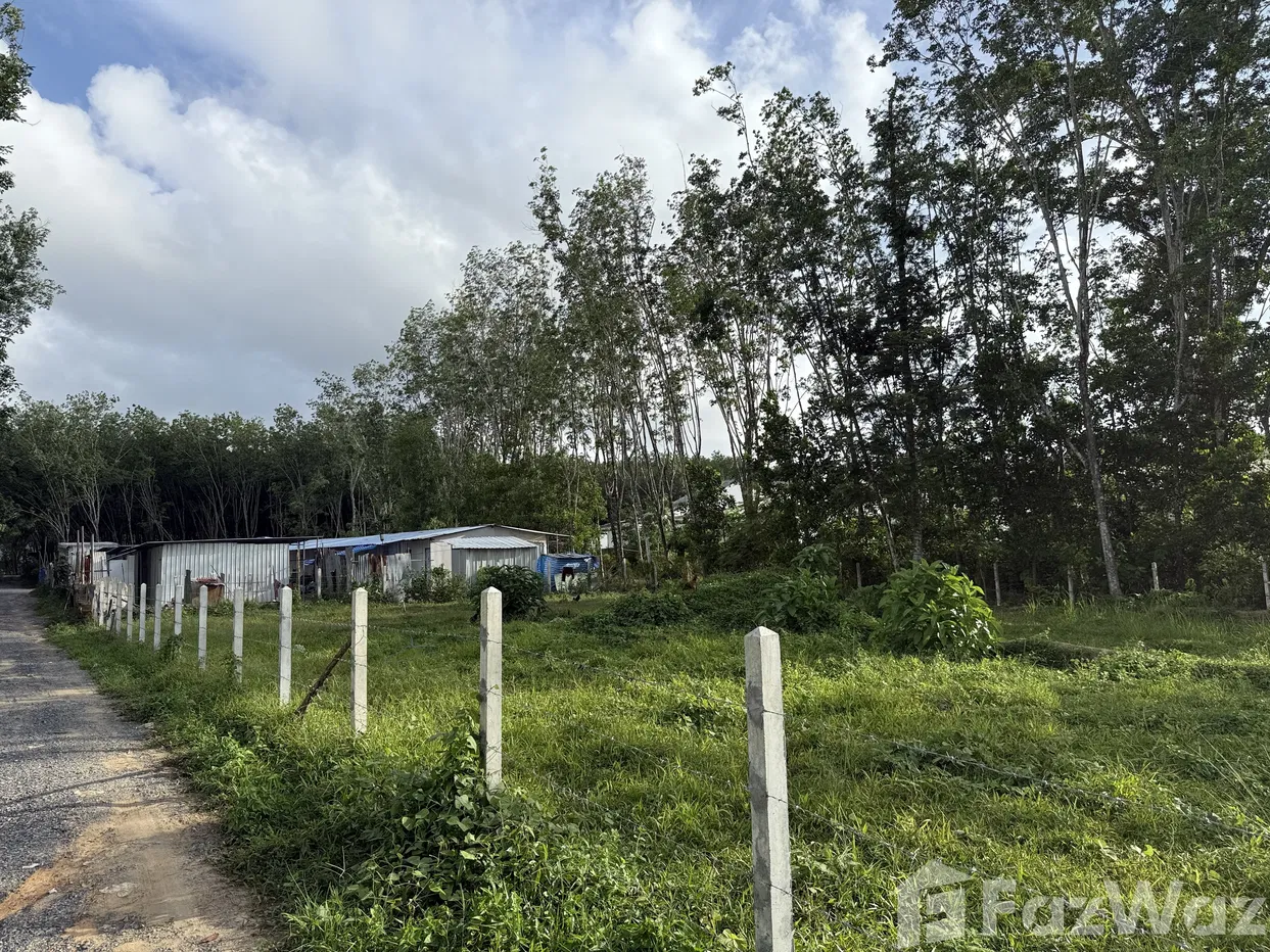picture Land for sale in Si Sunthon, Phuket - 7/14