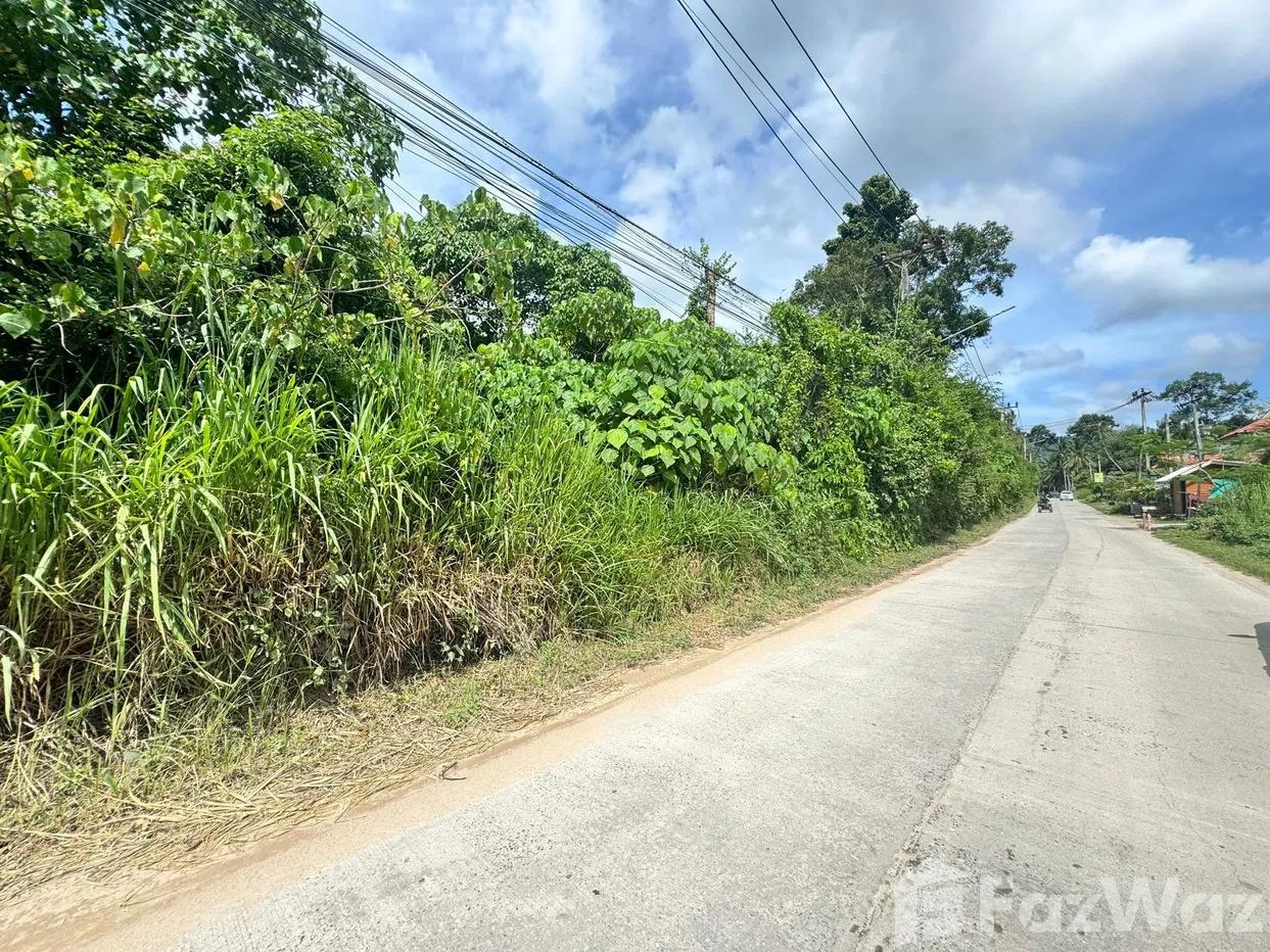 picture Land for sale in Maenam, Surat Thani - 5/16