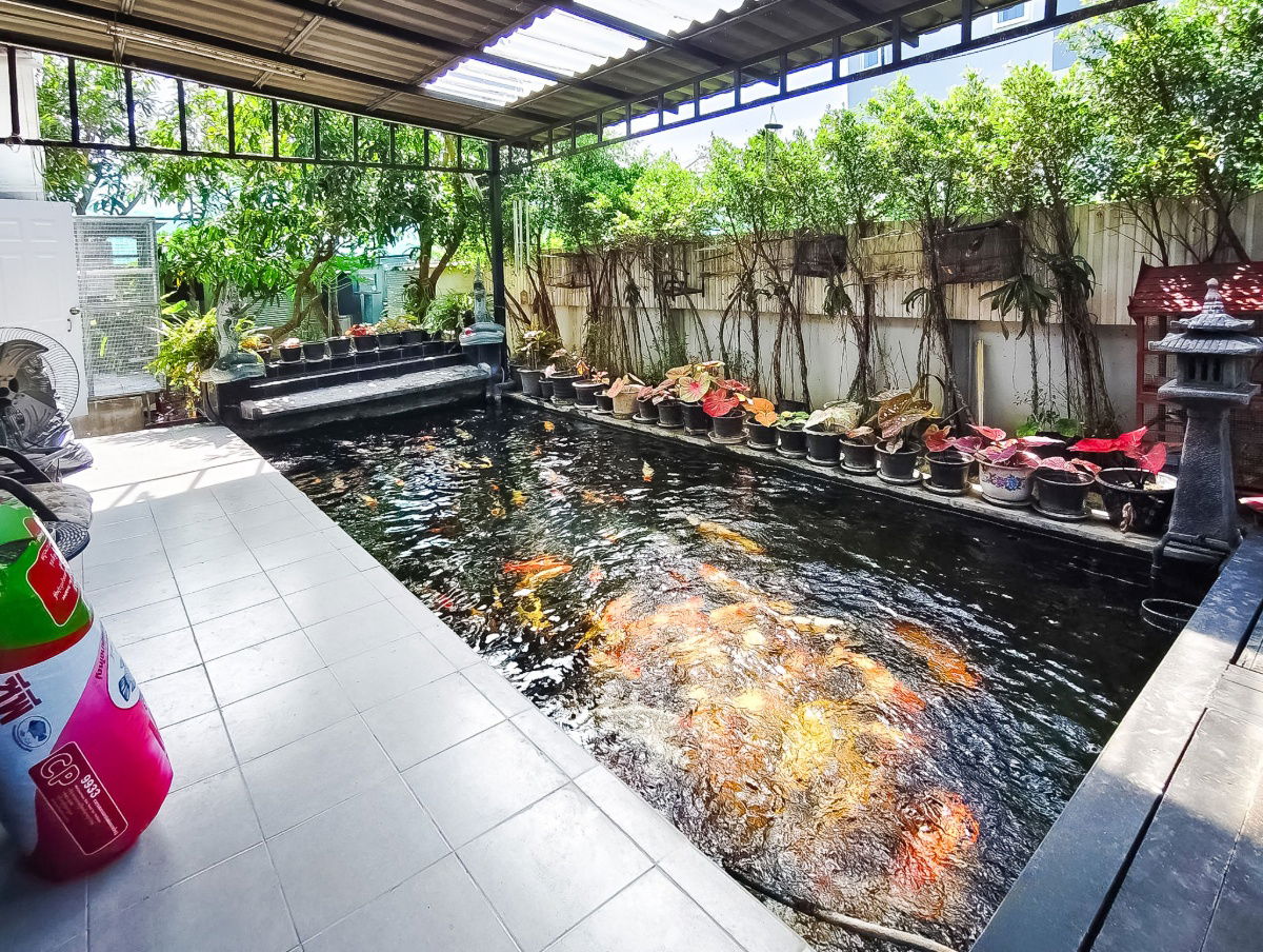 รูป 🏡 บ้านเดี่ยว 2 ชั้น "ซื่อตรง พรีเมี่ยม ไอแอม พระราม 2 - แสมดำ" เพียง 6.99 ล้าน - รูปที่ 7/12