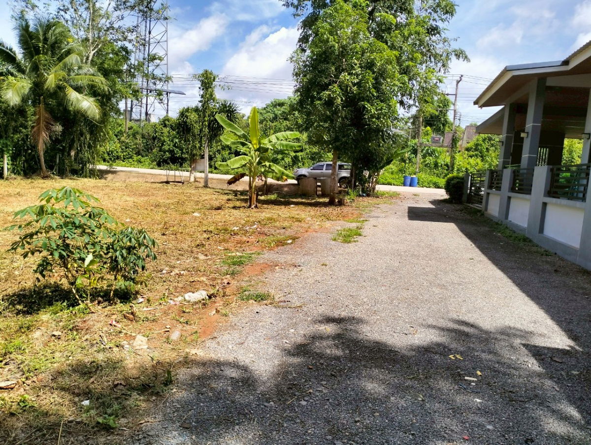รูป ขายที่ดิน " โฉนด "  251.6 ตร.ว.   เหมาะสำหรับสร้างบ้าน เป็น ที่จัดสรร  นำ้ไม่ท่วม   มีไฟฟ้า ประปาพร้อม  0816919593 , 0945922442  - รูปที่ 6/7