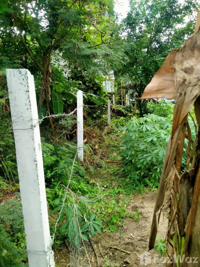 picture Land for sale in Bo Phut, Surat Thani - 5/6
