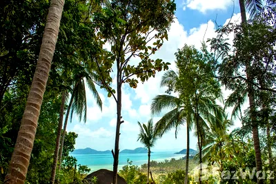 Land for sale : Large Samui Sea View Plot at Santikhiri Estate (SL006)
