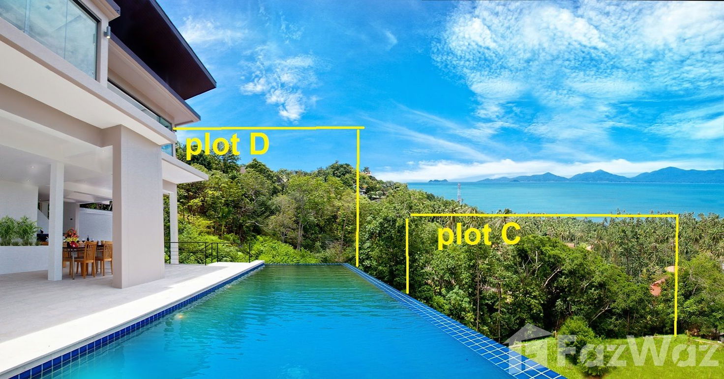 รูป ขาย ที่ดิน ใน แม่น้ำ, สุราษฎร์ธานี - รูปที่ 2/10