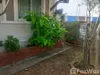 listing thumbnail image 54