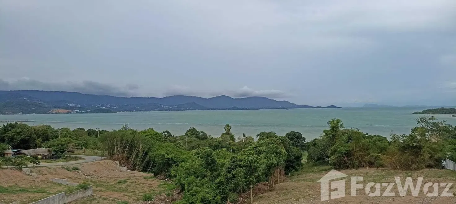 picture Land for sale in Bo Phut, Surat Thani - 9/11