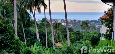 Land for sale Ko Samui Surat Thani : Land for sale in Bo Phut, Surat Thani