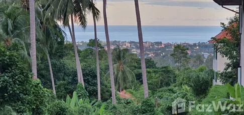Land for sale in Bo Phut, Surat Thani