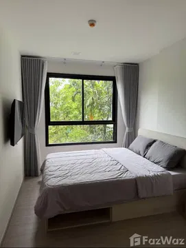 คอนโดให้เช่า 2 ห้องนอน ในโครงการ ดีคอนโด รีฟ ภูเก็ต