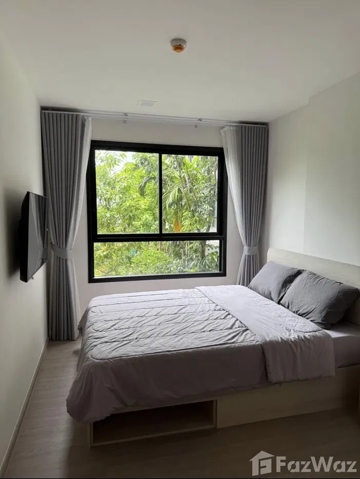 picture Luxury new Apartment D condo Reef Kathu Phuket 5367781 - 1/10