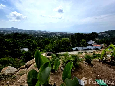 Land for sale : Land for sale in Bo Phut, Surat Thani