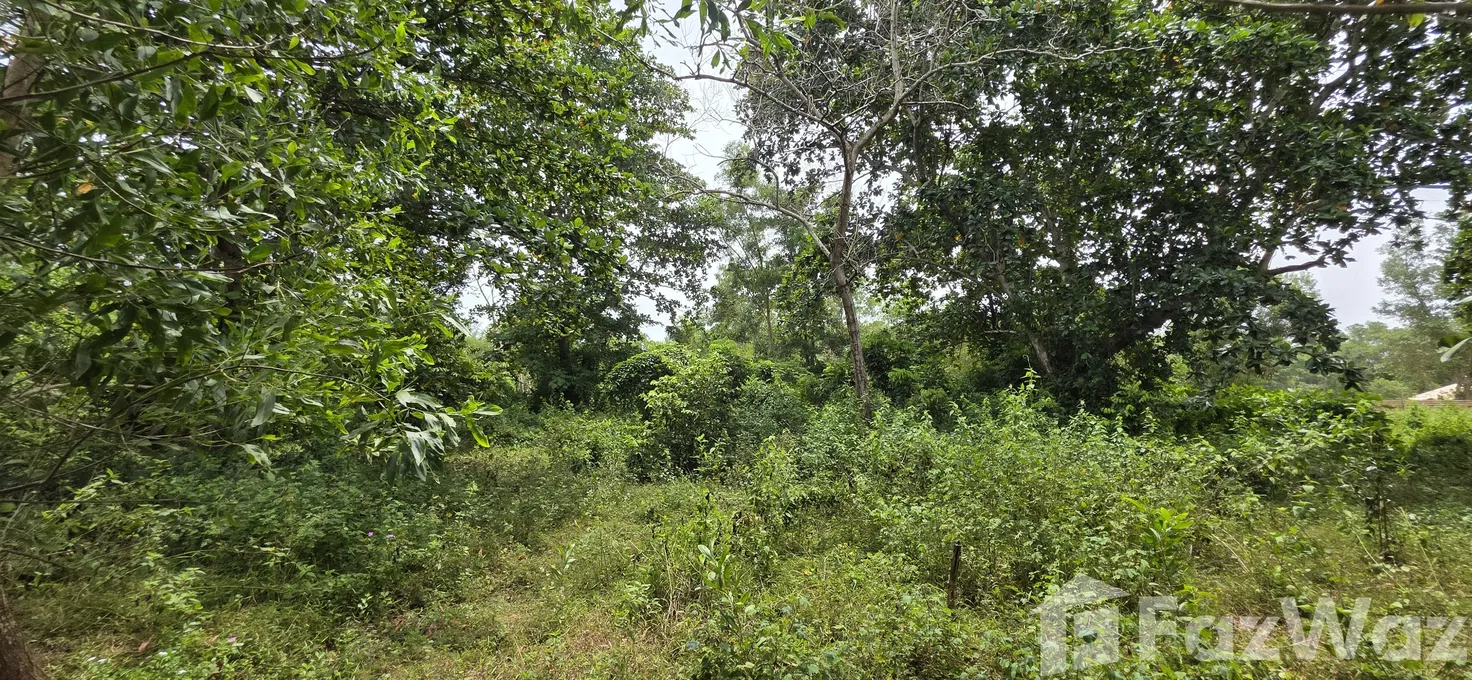 รูป ขาย ที่ดิน ใน ไม้ขาว, ภูเก็ต - รูปที่ 9/16