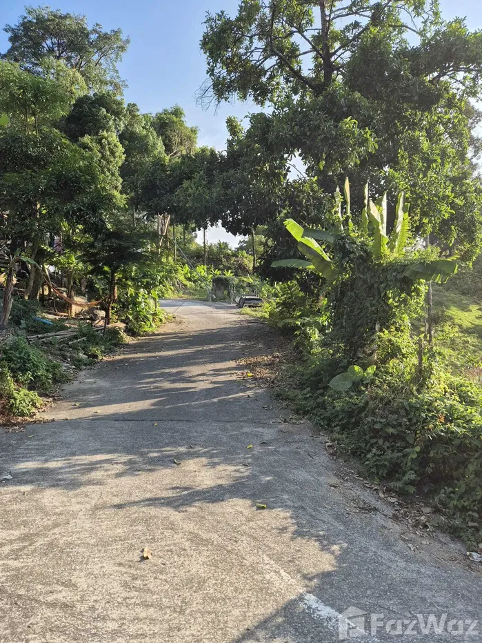 picture Land for sale in Kamala, Phuket - 12/17