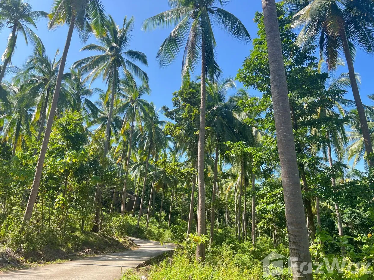 picture Land for sale in Bo Phut, Surat Thani - 3/12