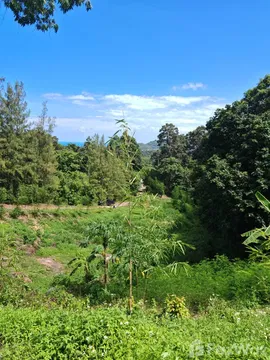 ขาย ที่ดิน ใน มะเร็ต, สุราษฎร์ธานี