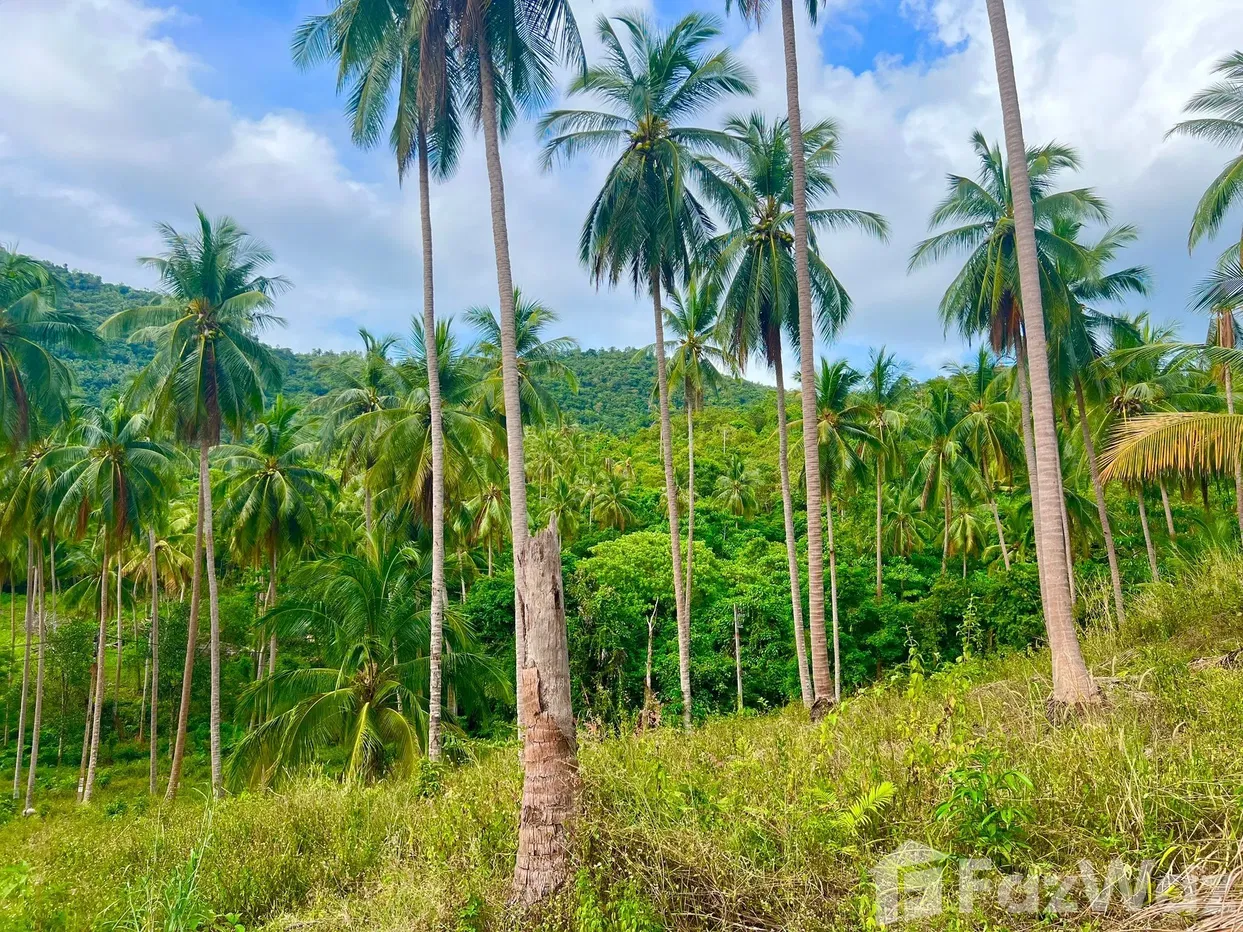 picture Land for sale in Taling Ngam, Surat Thani - 8/18