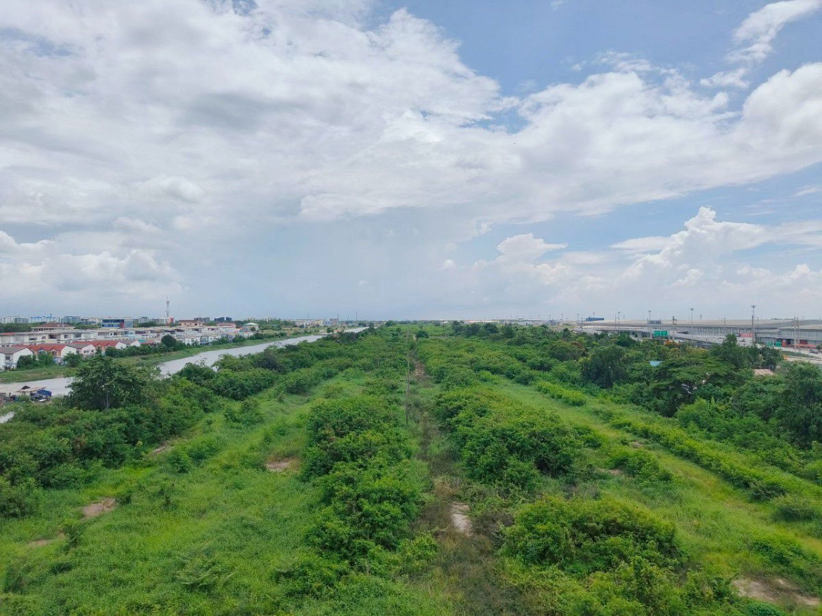 picture For Rent The Point Condo Rungsit-Klong6 - 10/17