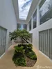 listing thumbnail image 10