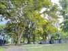 listing thumbnail image 35