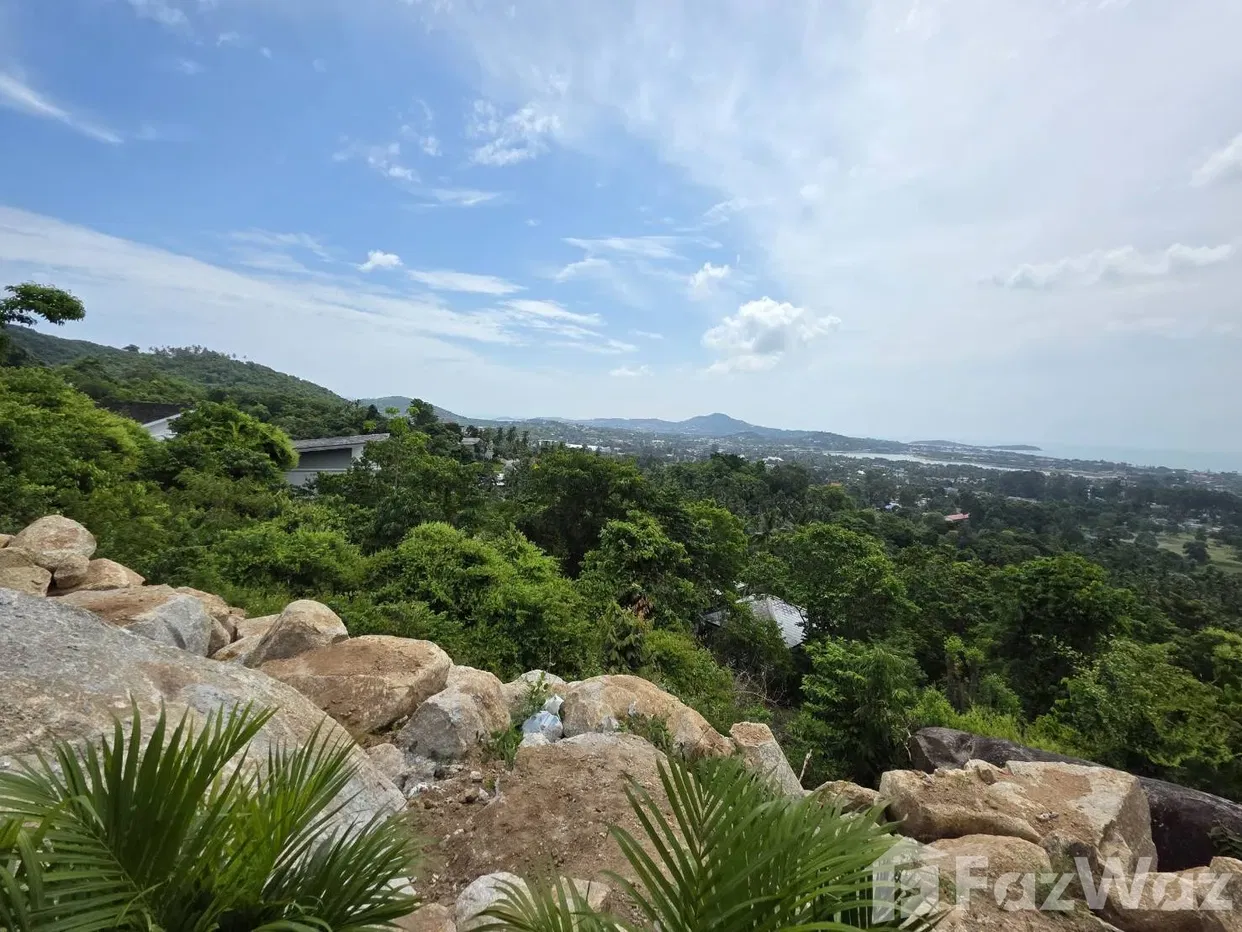 รูป ขาย ที่ดิน ใน บ่อผุด, สุราษฎร์ธานี - รูปที่ 2/9