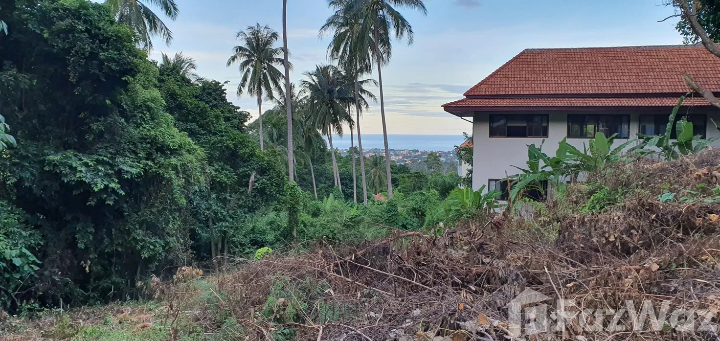 picture Land for sale in Bo Phut, Surat Thani - 3/5