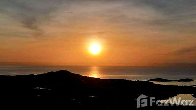 Land for sale : Land for sale in Bo Phut, Surat Thani